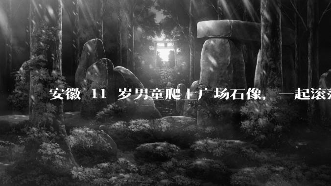 安徽 11 岁男童爬上广场石像，一起滚落被砸身亡，当地已成立专班调查，谁该为此事负责？