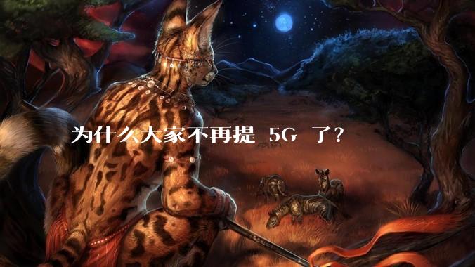 为什么大家不再提 5G 了？