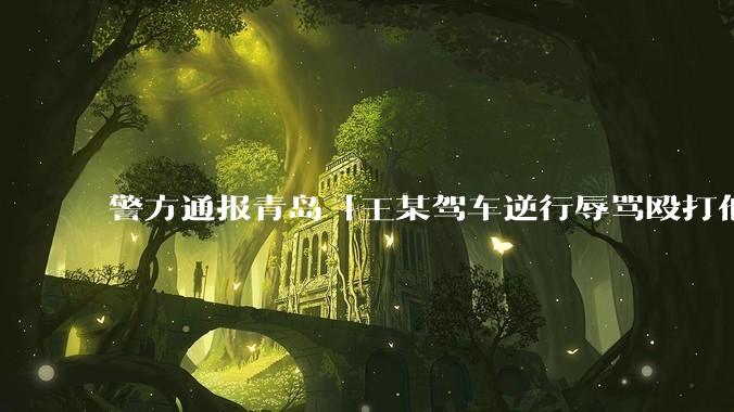 警方通报青岛「王某驾车逆行辱骂殴打他人」案件情况，有哪些细节值得关注？