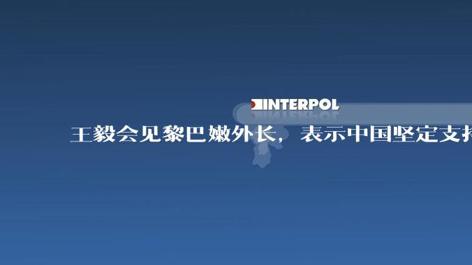 王毅会见黎巴嫩外长，表示中国坚定支持黎巴嫩维护主权安全民族尊严，哪些信息值得关注？