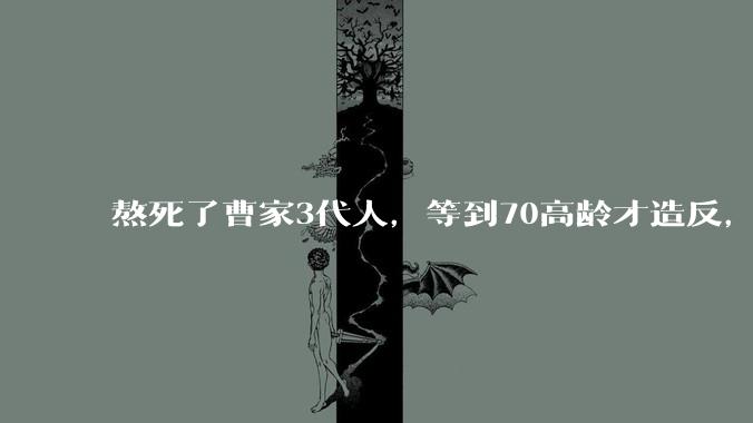 熬死了曹家3代人，等到70高龄才造反，司马懿到底在怕什么？