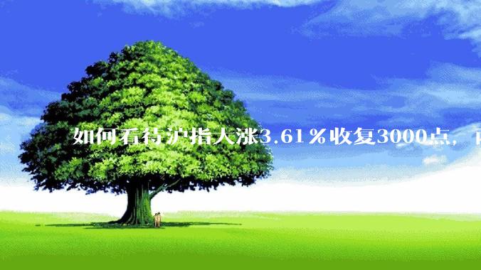 如何看待沪指大涨3.61%收复3000点，两市成交额连续两日超1.1万亿？