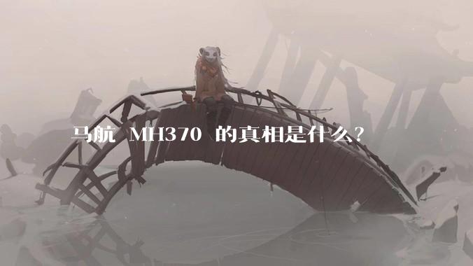 马航 MH370 的真相是什么？