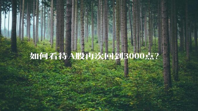 如何看待A股再次回到3000点？