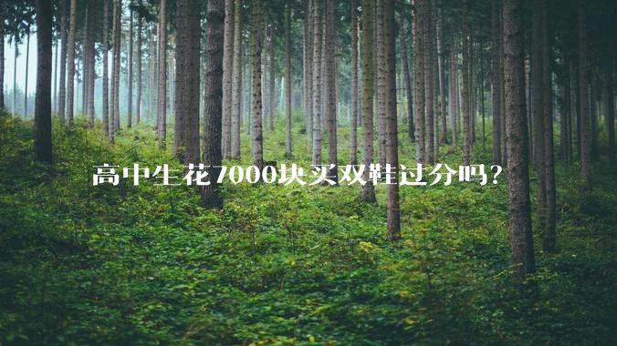 高中生花7000块买双鞋过分吗？