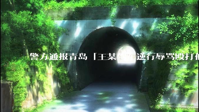 警方通报青岛「王某驾车逆行辱骂殴打他人」案件情况，有哪些细节值得关注？