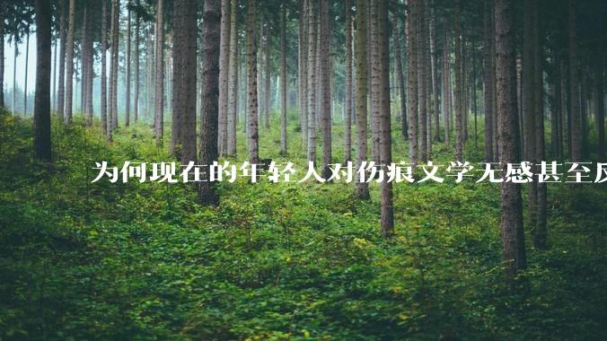 为何现在的年轻人对伤痕文学无感甚至反感？