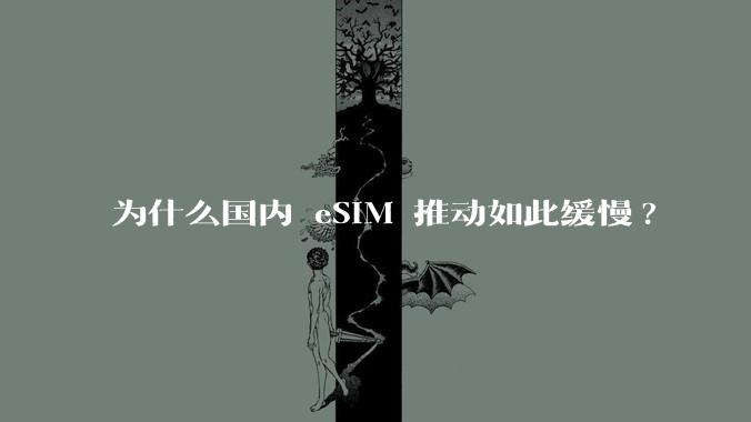 为什么国内 eSIM 推动如此缓慢?