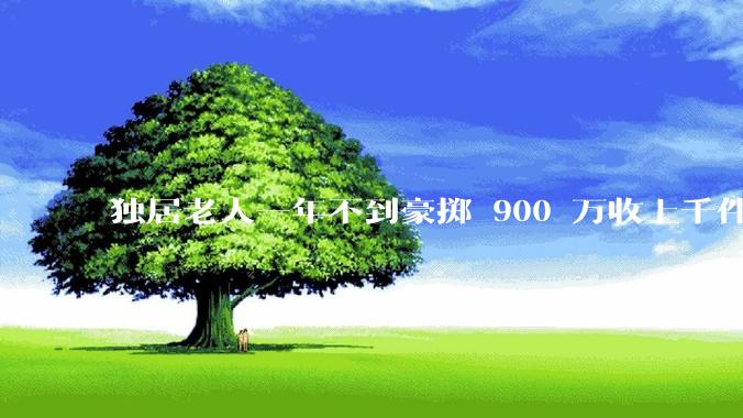 独居老人一年不到豪掷 900 万收上千件古玩全是***的，市场价仅40万，犯罪嫌疑人被刑拘，如何看待此事？