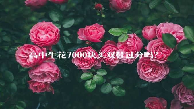 高中生花7000块买双鞋过分吗？