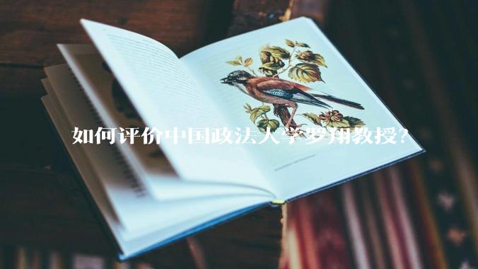 如何评价中国政法大学罗翔教授？