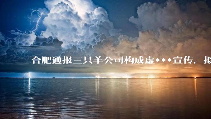 合肥通报三只羊公司构成虚***宣传，拟对其没收违法所得、罚款 6894.91 万元，有何警示意义？