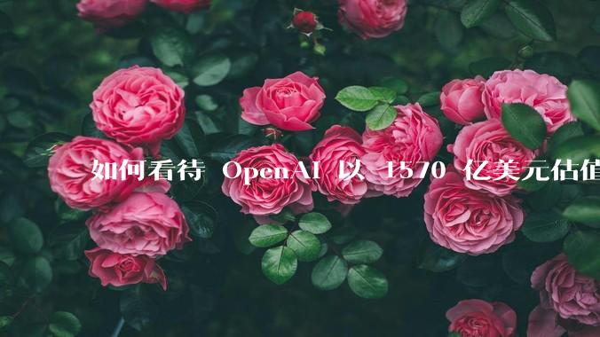 如何看待 OpenAI 以 1570 亿美元估值融资 66 亿美元，成为硅谷史上最大的一次融资？