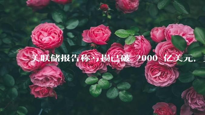 美联储报告称亏损已破 2000 亿美元，美联储为何巨亏？2024 年还会大幅降息吗？