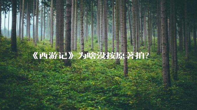 《西游记》为啥没按原著拍？