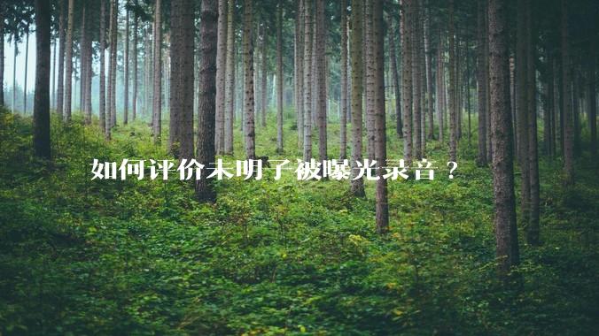 如何评价未明子被曝光录音?