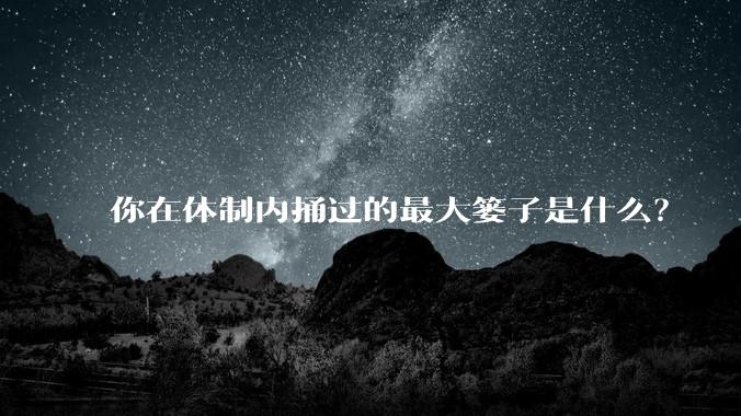 你在体制内捅过的最大篓子是什么？