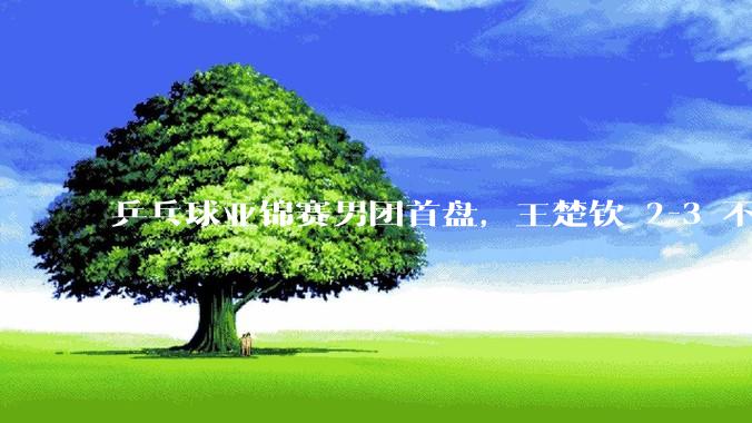 乒乓球亚锦赛男团首盘，王楚钦 2-3 不敌 14 岁伊朗小将，目前王楚钦的问题到底出在哪？