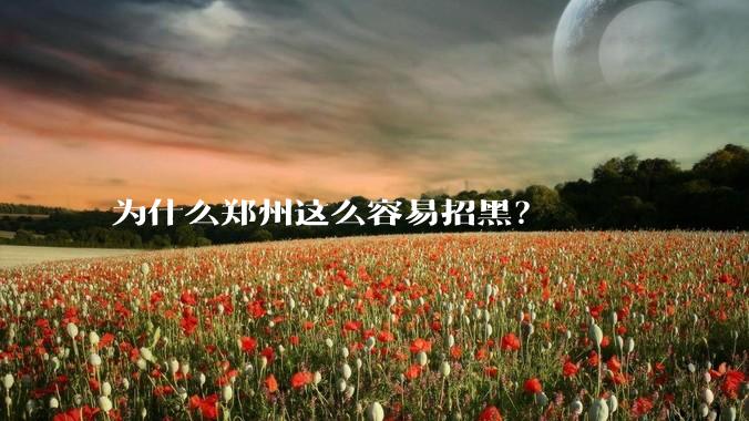 为什么郑州这么容易招黑？