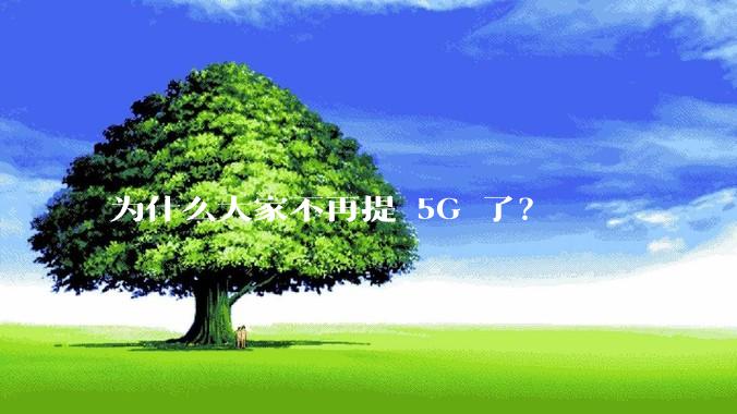 为什么大家不再提 5G 了？