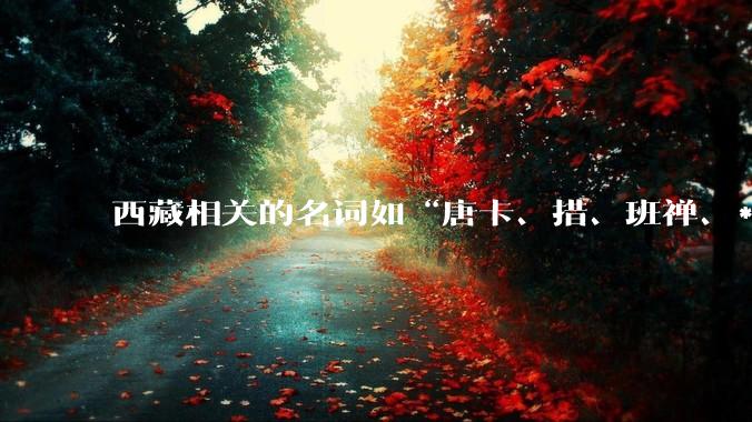 西藏相关的名词如“唐卡、措、班禅、***”这些词为什么要音译，为什么不用汉语相应的词汇？