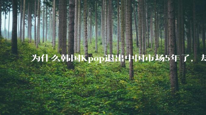 为什么韩国Kpop退出中国市场5年了，却没被饿死，反而活的不错？