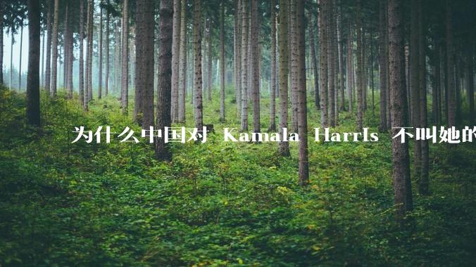 为什么中国对 Kamala Harris 不叫她的中文名“贺锦丽”，而是用音译“卡玛拉·哈里斯”？