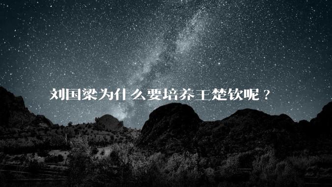 刘国梁为什么要培养王楚钦呢?