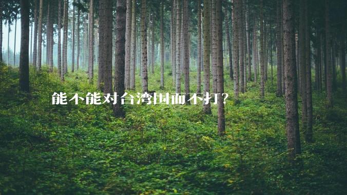 能不能对台湾围而不打？