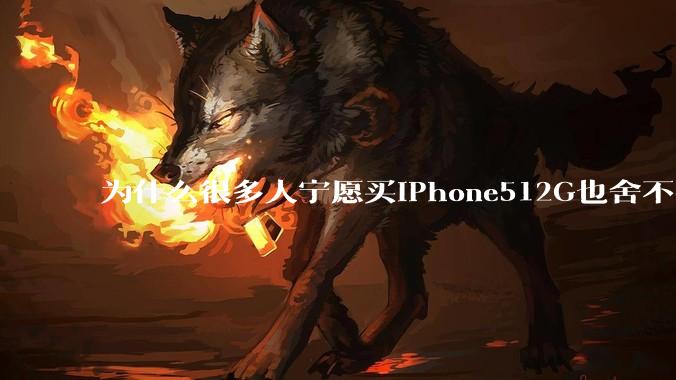 为什么很多人宁愿买iPhone512G也舍不得开通iCloud 2T的云存储呢？