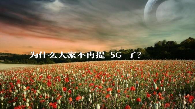 为什么大家不再提 5G 了？