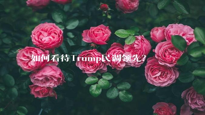 如何看待Trump民调领先？