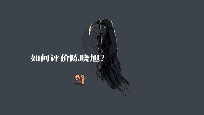 如何评价陈晓旭？