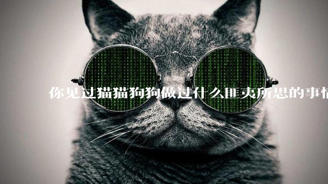 你见过猫猫狗狗做过什么匪夷所思的事情？