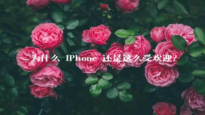 为什么 iPhone 还是这么受欢迎？