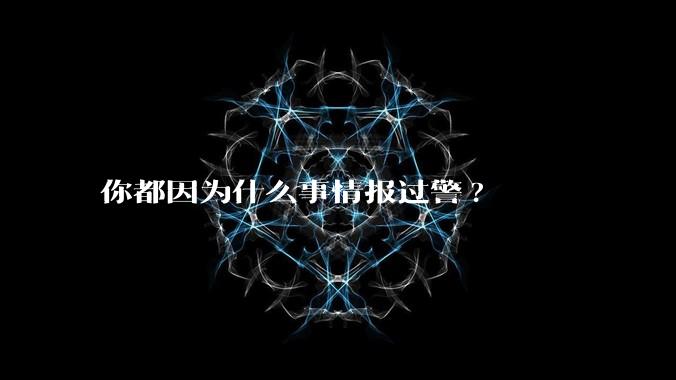 你都因为什么事情报过警?