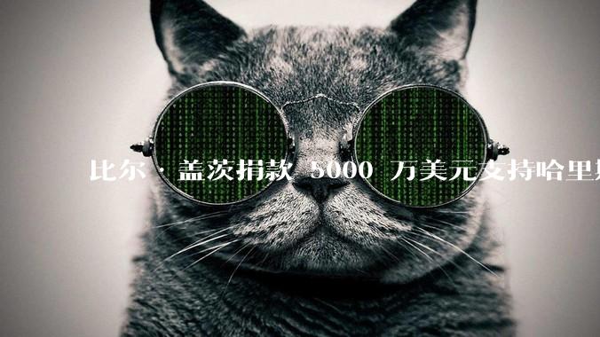 比尔·盖茨捐款 5000 万美元支持哈里斯竞。舛悦拦笱∮心男┯跋欤课伪榷じ谴幕嶂С止里斯？