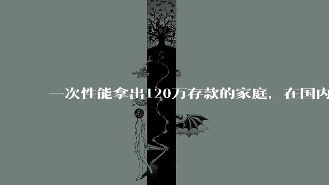 一次性能拿出120万存款的家庭，在国内还有多少呢？