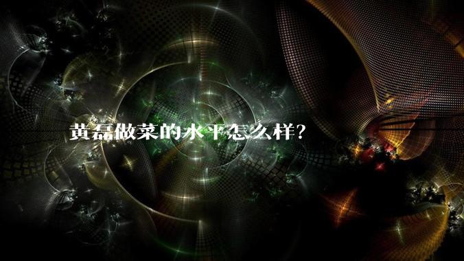 黄磊做菜的水平怎么样？