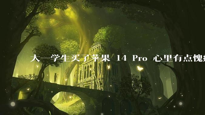 大一学生买了苹果 14 Pro 心里有点愧疚怎么办？