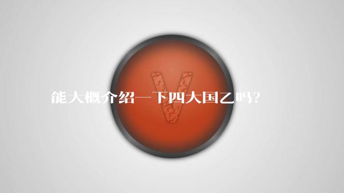 能大概介绍一下四大国乙吗？